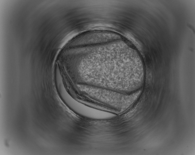 X0000097891384200803281236