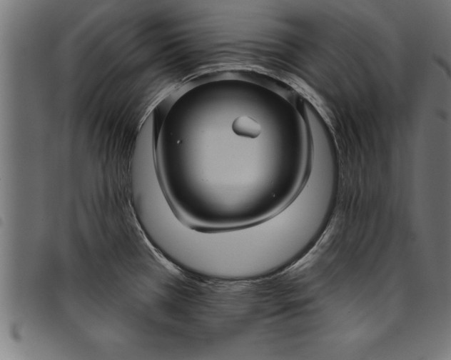 X0000097891385200803281236