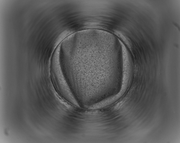 X0000097891386200803281236