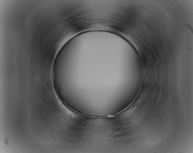 X0000097891387200803281236