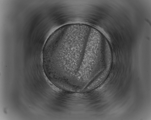 X0000097891388200803281236