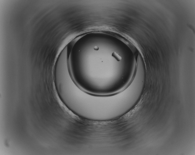 X0000097891389200803281236