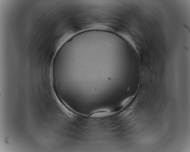 X0000097891391200803281236