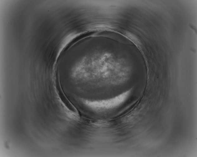 X0000097891392200803281236