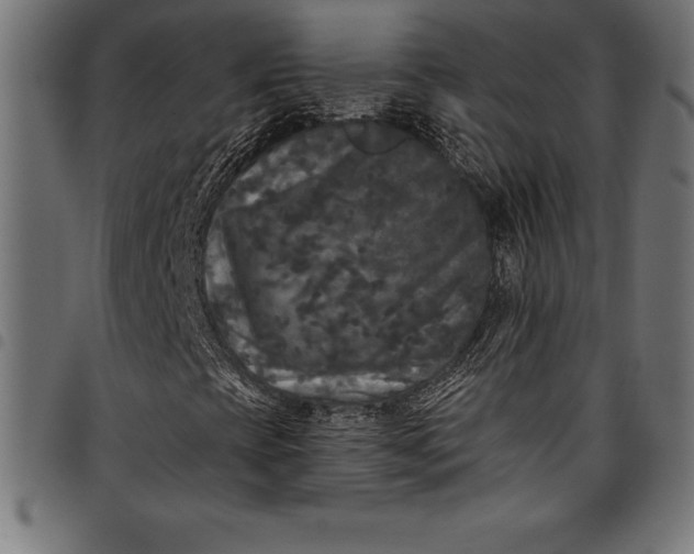 X0000097891393200803281235