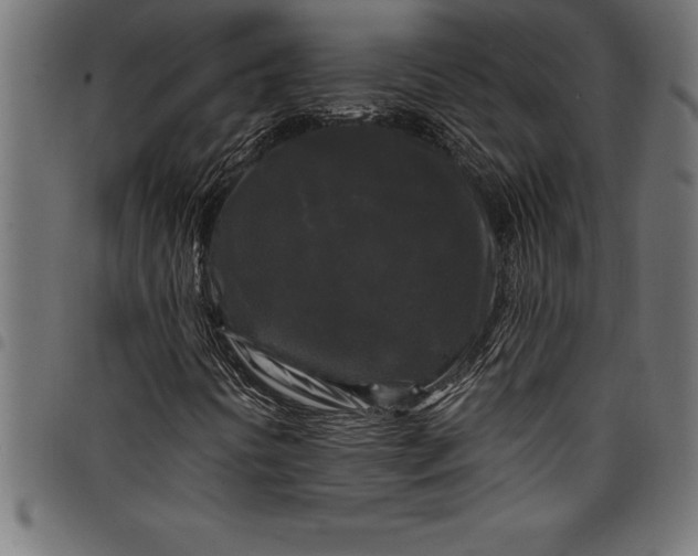 X0000097891394200803281235