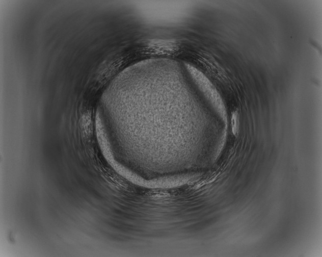 X0000097891395200803281235