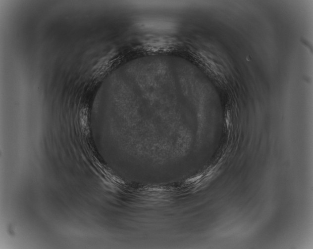 X0000097891396200803281235