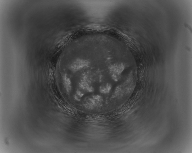 X0000097891397200803281235