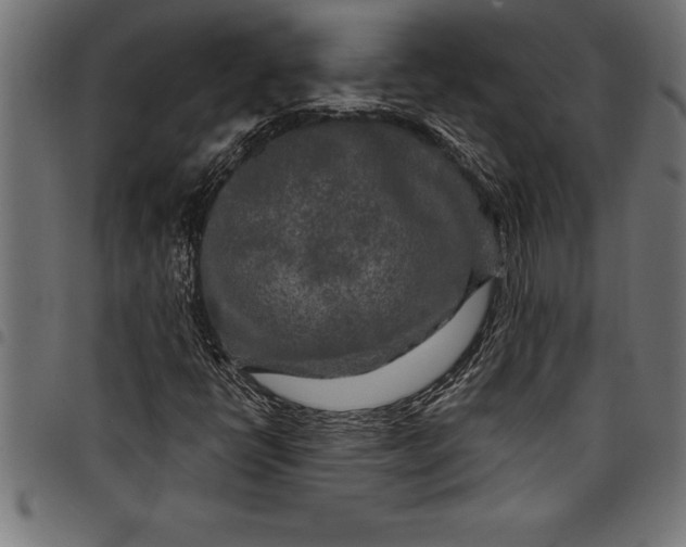 X0000097891398200803281235