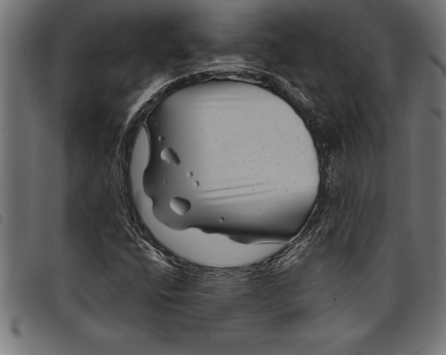 X0000097891400200803281235