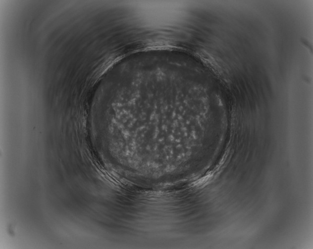 X0000097891401200803281235