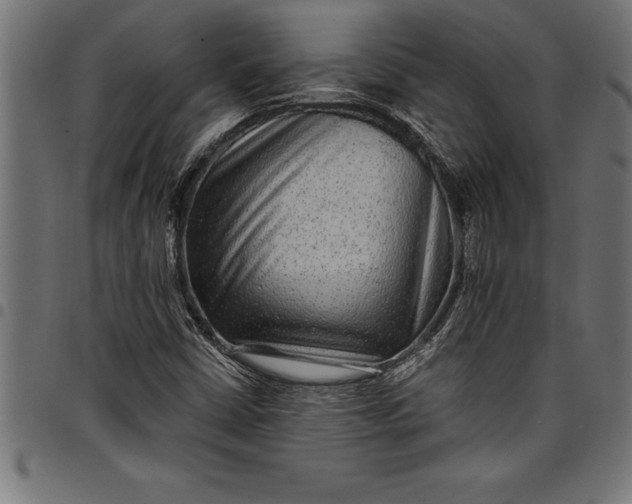 X0000097891402200803281235