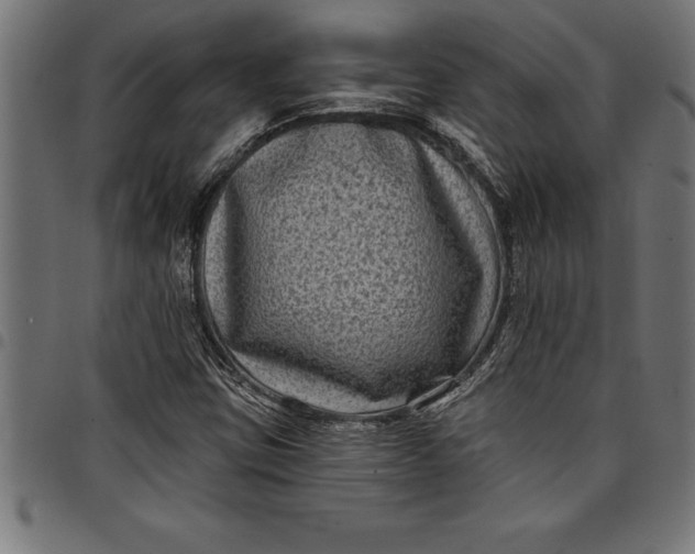 X0000097891403200803281235