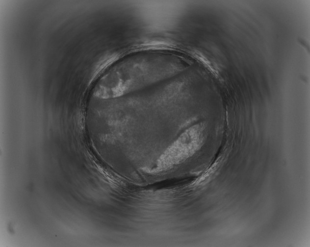 X0000097891405200803281235