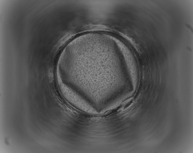 X0000097891407200803281235