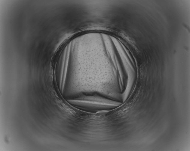 X0000097891408200803281235