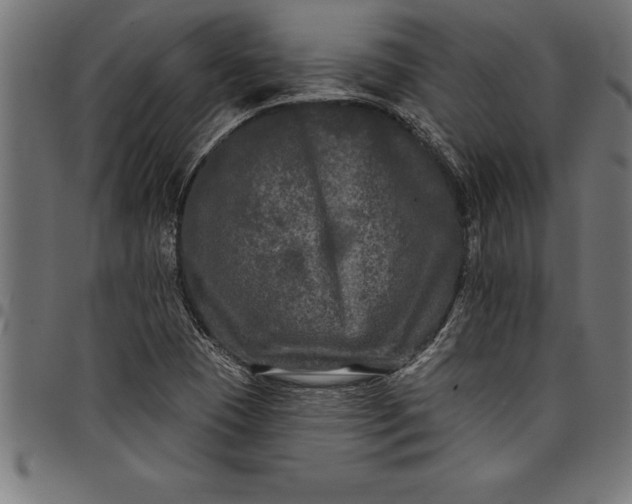 X0000097891409200803281235