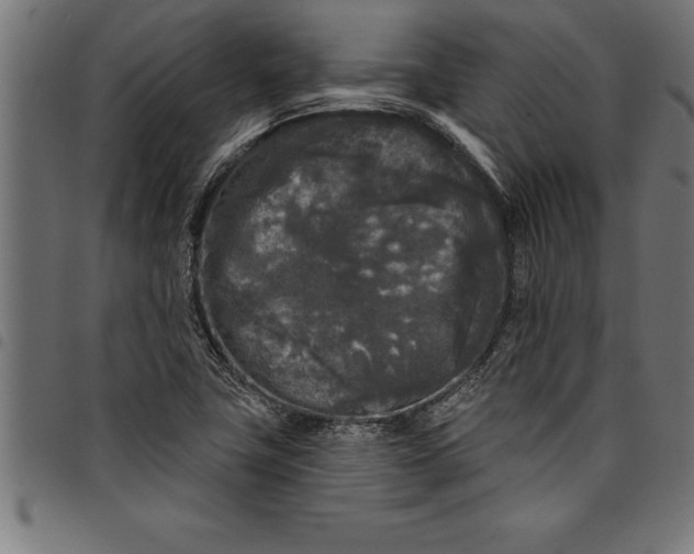 X0000097891411200803281235