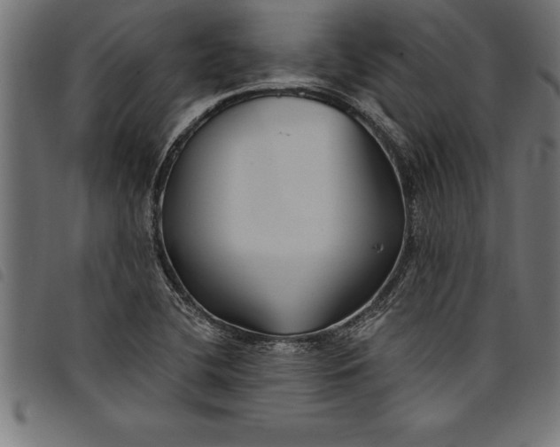 X0000097891412200803281235