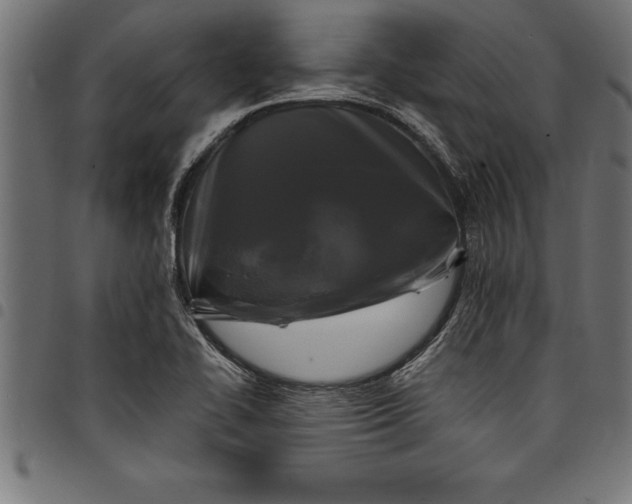 X0000097891414200803281235