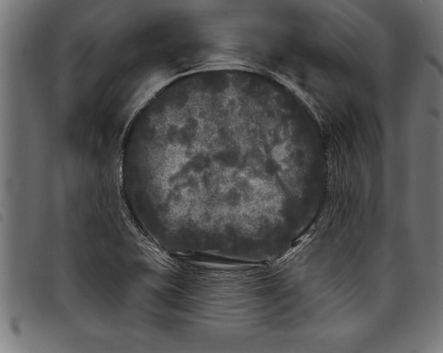 X0000097891415200803281236