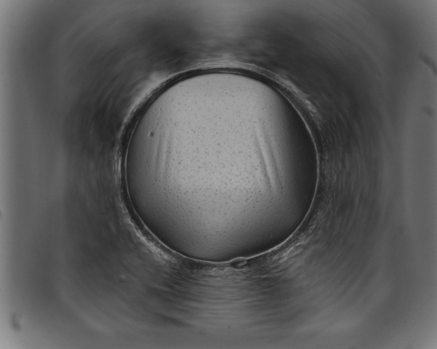 X0000097891416200803281236