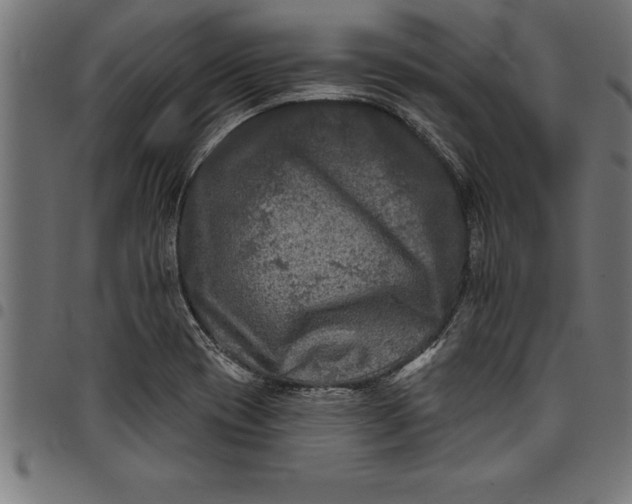 X0000097891417200803281236