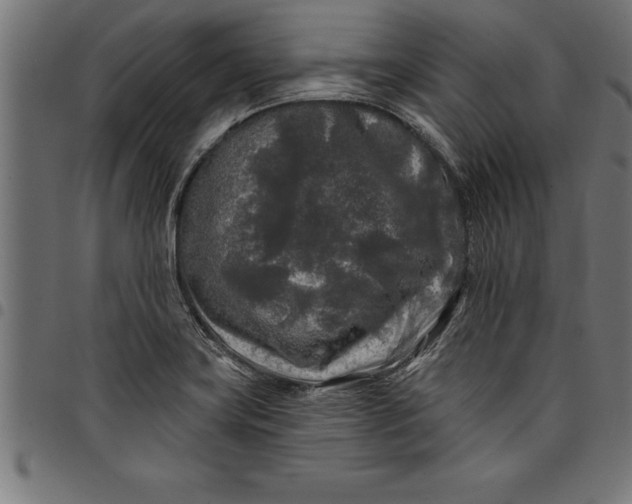 X0000097891419200803281236