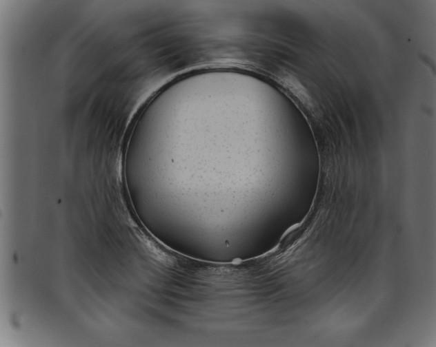 X0000097891420200803281236