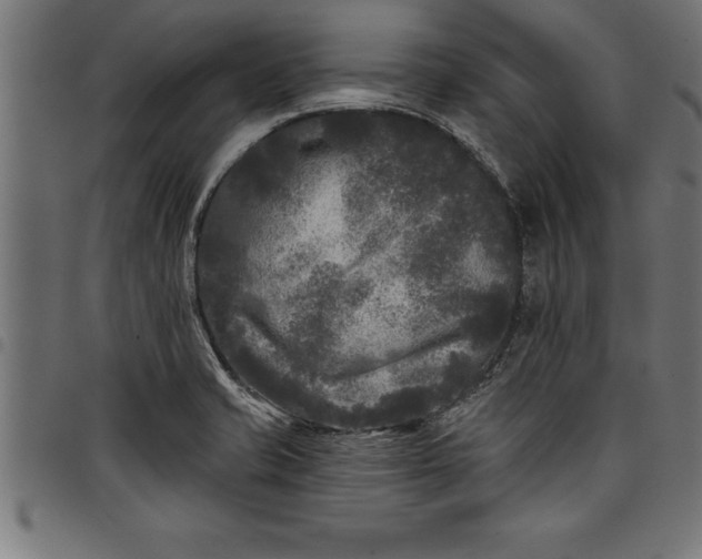 X0000097891421200803281236