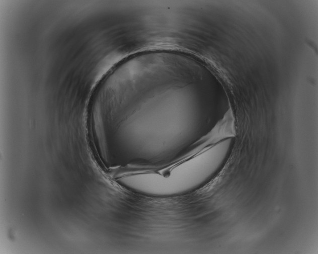 X0000097891422200803281236