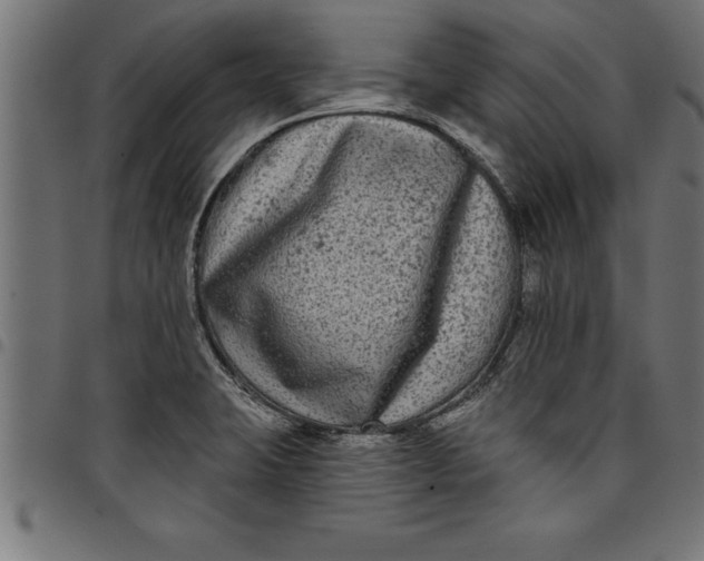 X0000097891423200803281236