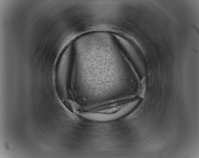 X0000097891424200803281236