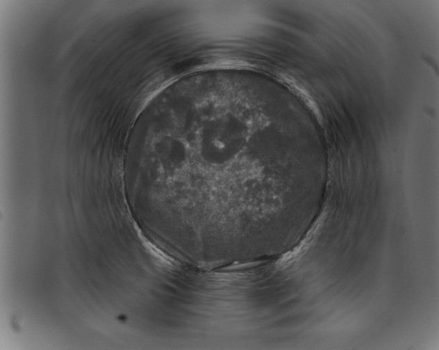 X0000097891425200803281236