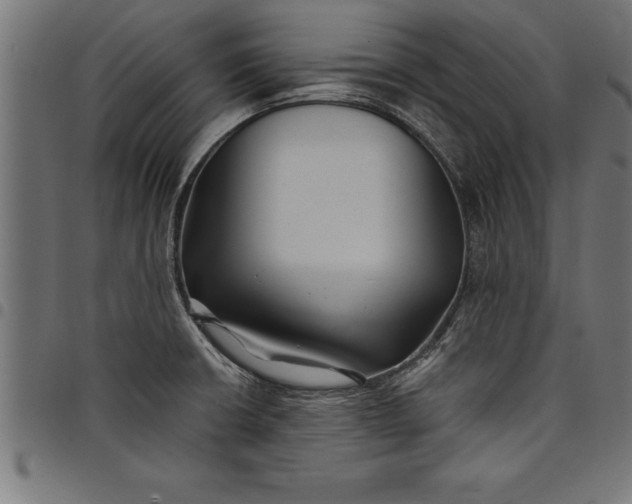 X0000097891426200803281236