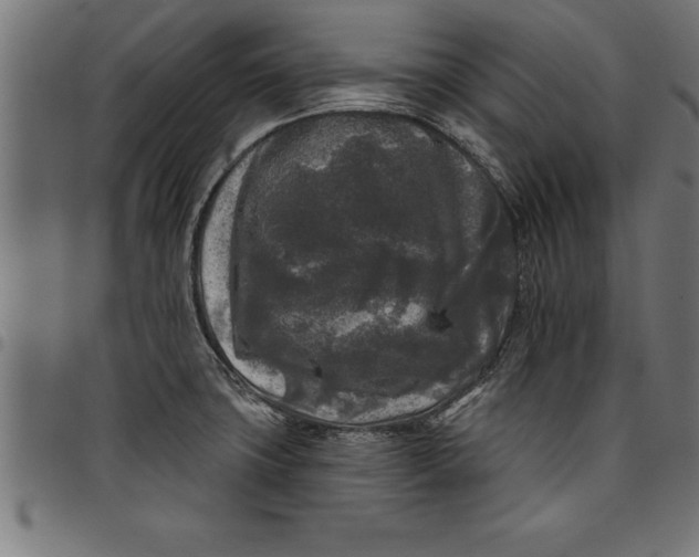 X0000097891427200803281236