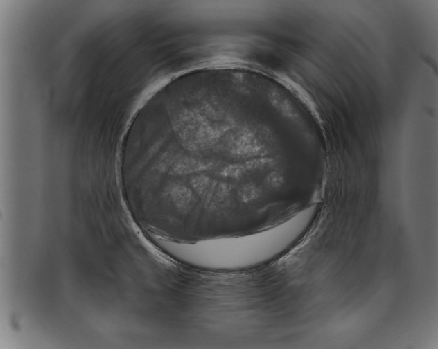 X0000097891429200803281236