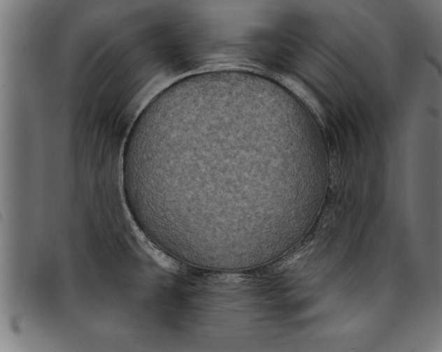 X0000097891431200803281236