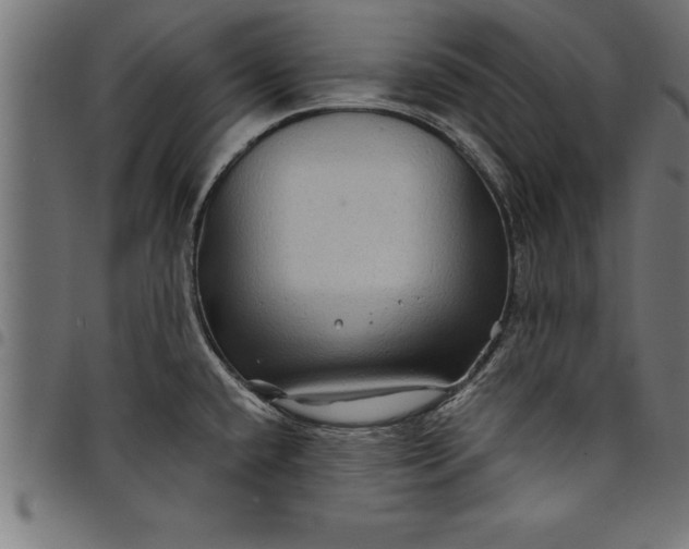 X0000097891432200803281236