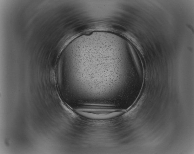 X0000097891433200803281236