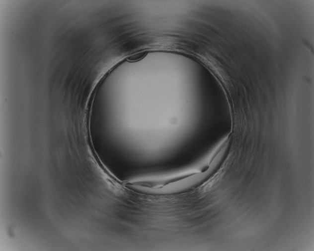 X0000097891434200803281236