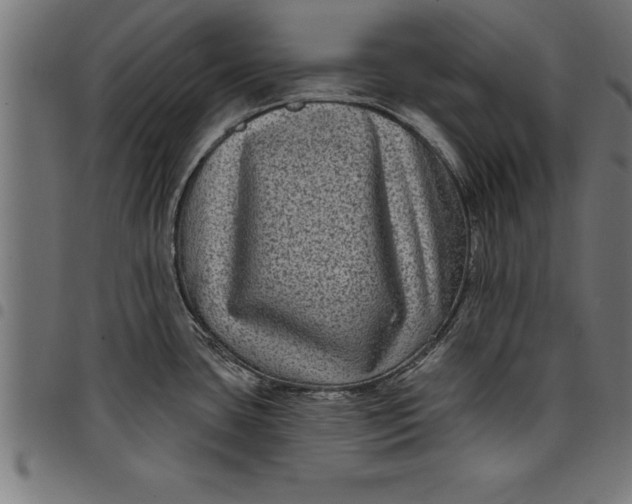 X0000097891435200803281236