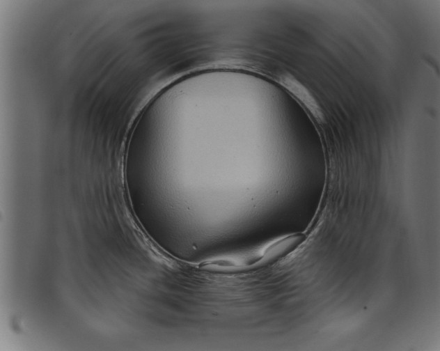 X0000097891436200803281236