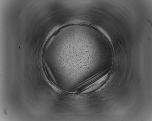 X0000097891437200803281236