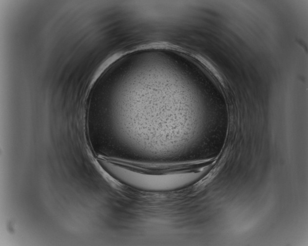 X0000097891438200803281236