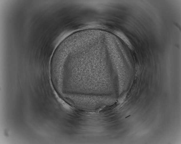 X0000097891439200803281236