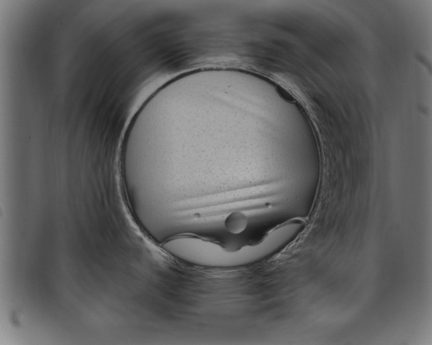 X0000097891440200803281236