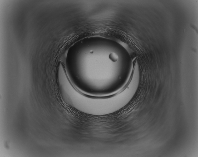 X0000097891441200803281235