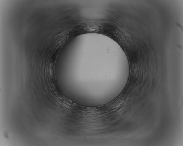 X0000097891442200803281235